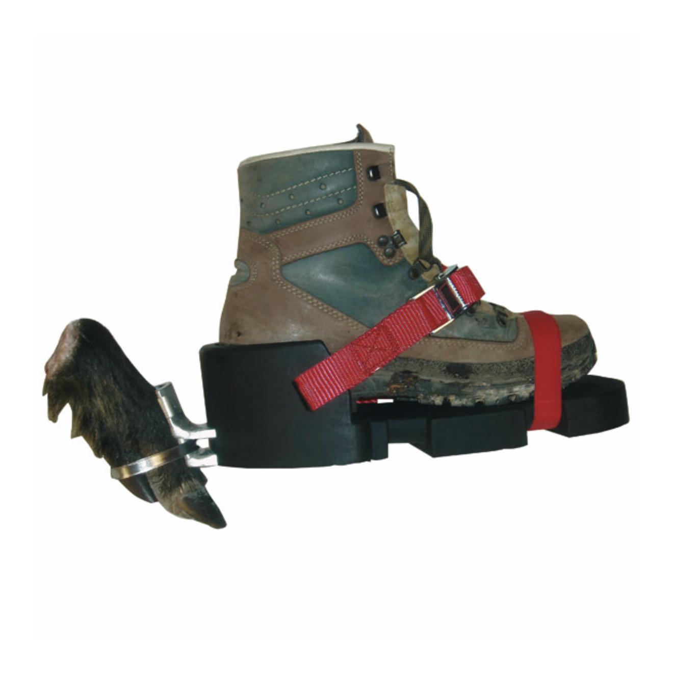 WAIDWERK Fährtenschuh Classic