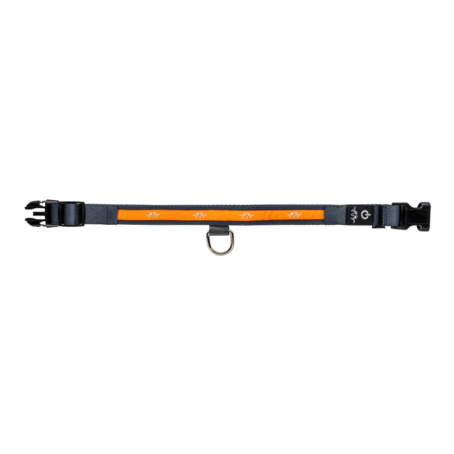 Blaser Halsband LED - Orange -