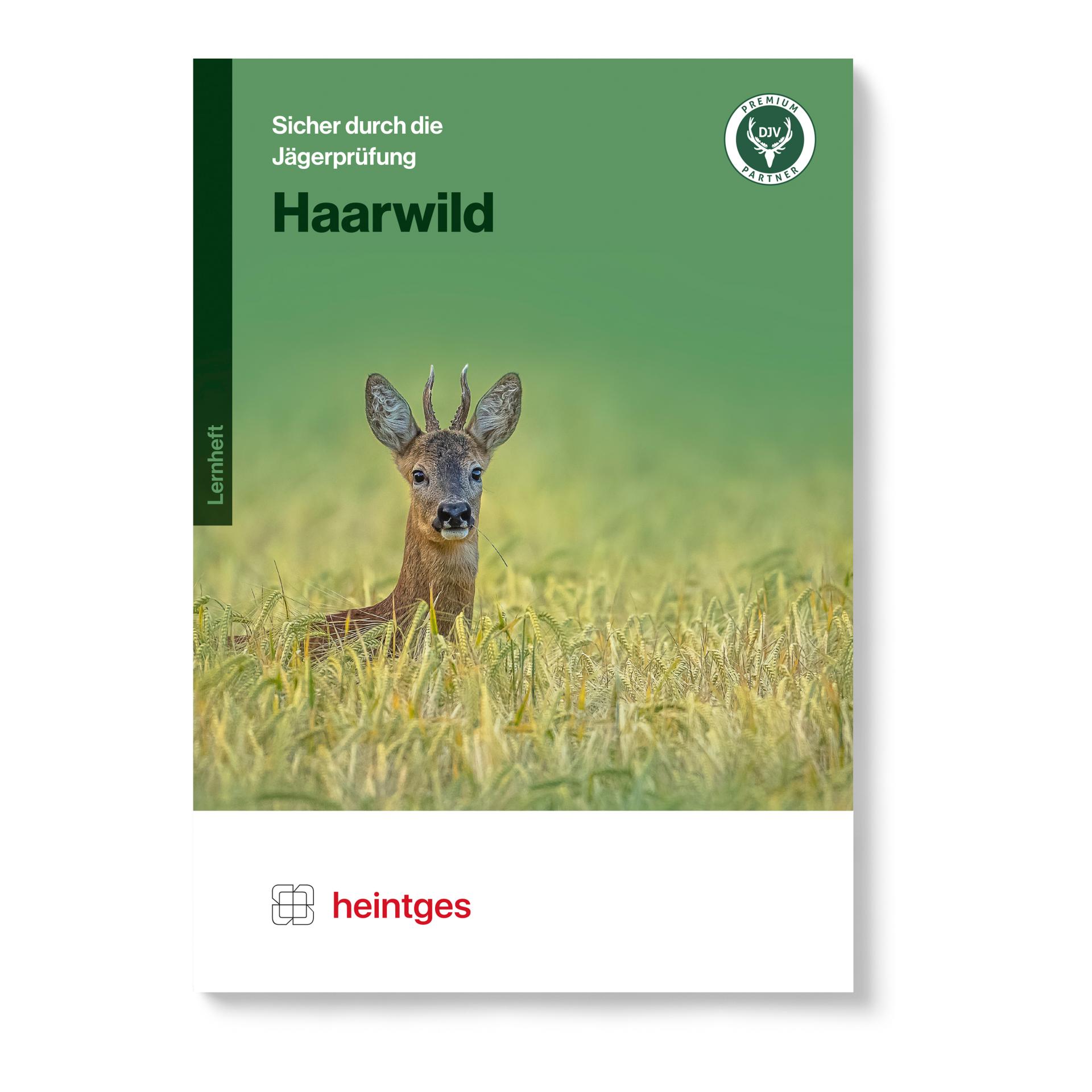 Heintges Lernheft Haarwild
