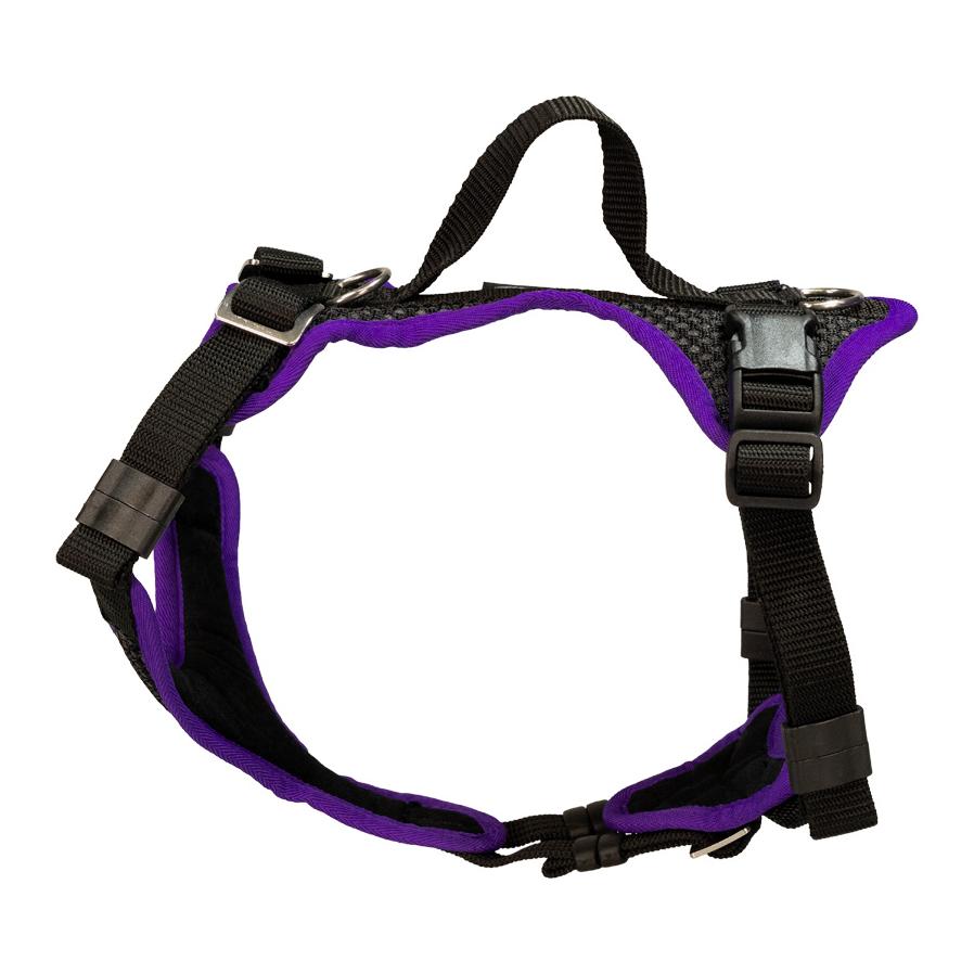 Beat Grossenbacher Welpengeschirr Puppy - Schwarz/Violett -